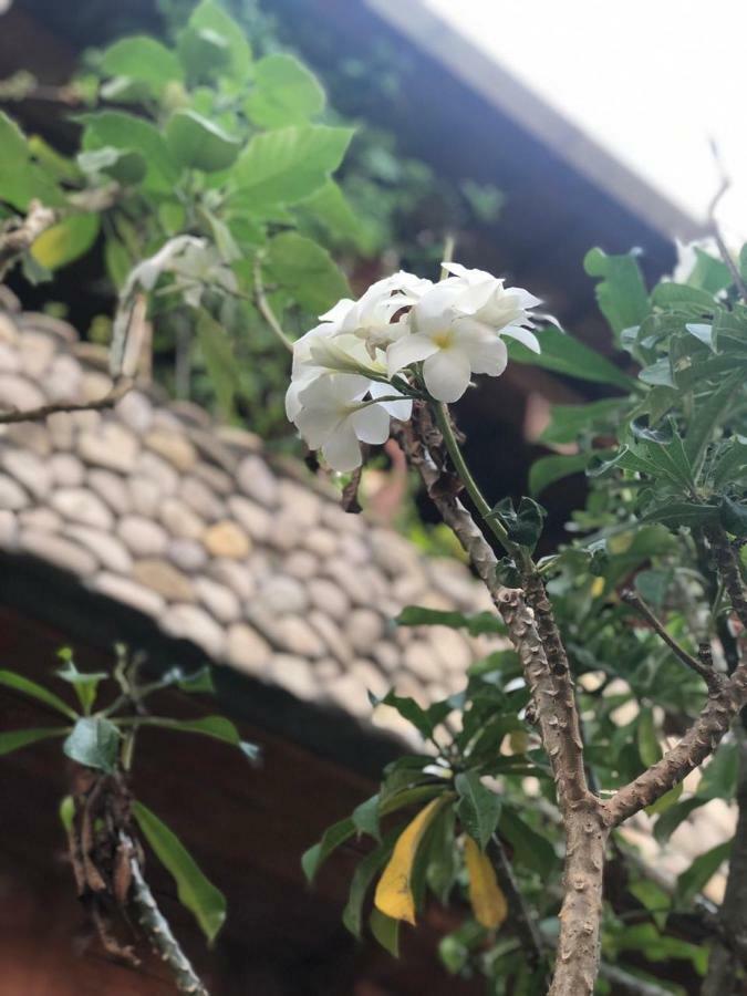 Melati Bali 2 Hotel Canggu Екстериор снимка