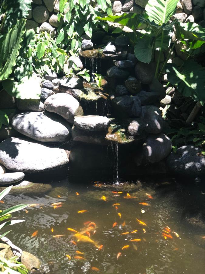 Melati Bali 2 Hotel Canggu Екстериор снимка